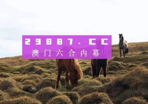 信息咨询 第137页