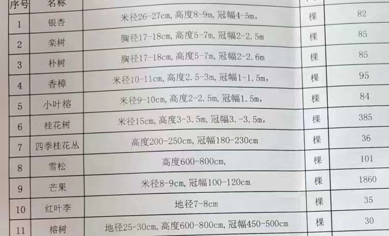 探讨最新采购苗木趋势与策略，苗木采购最新动态解析