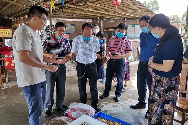 北海市农业局人事大调整，推动农业高质量发展新篇章